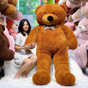 Gấu bông Teddy 2m - Gấu Bông Vinh Quang - Xưởng Sản Xuất Gấu Bông Vinh Quang